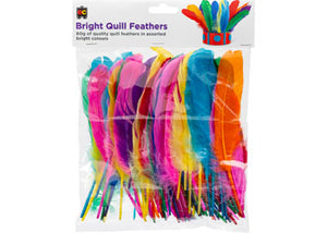 Bright Quill Feathers