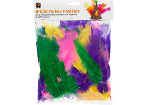 Bright Turkey Feathers